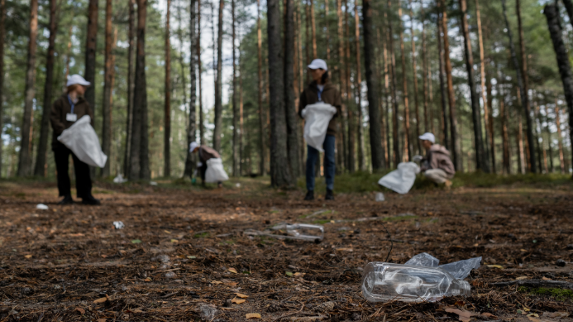 Lina Rosa Gomes Vieira da Silva mostra como a consciência ecológica pode reduzir desigualdades e gerar pertencimento.