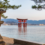 Medicina tradicional japonesa: Alberto Toshio Murakami explica como o Kampo equilibra corpo e mente.