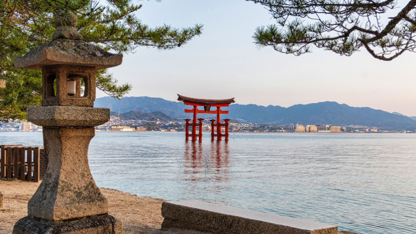 Medicina tradicional japonesa: Alberto Toshio Murakami explica como o Kampo equilibra corpo e mente.