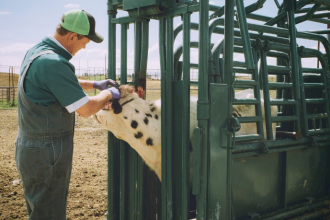 Como a agropecuária molda, na análise de João Eustáquio De Almeida Junior, a visão estratégica de longo prazo nos negócios.
