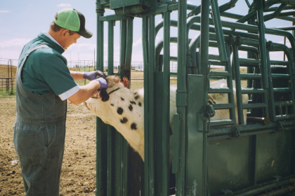 Como a agropecuária molda, na análise de João Eustáquio De Almeida Junior, a visão estratégica de longo prazo nos negócios.